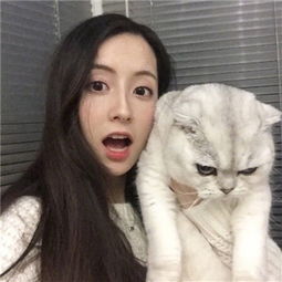 拳皇命运手游测试版下载
